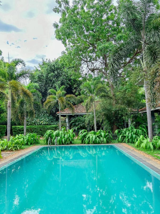 Wild Heaven Hotel Tissamaharama Exterior foto
