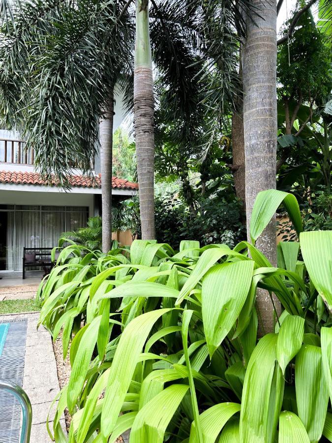 Wild Heaven Hotel Tissamaharama Exterior foto