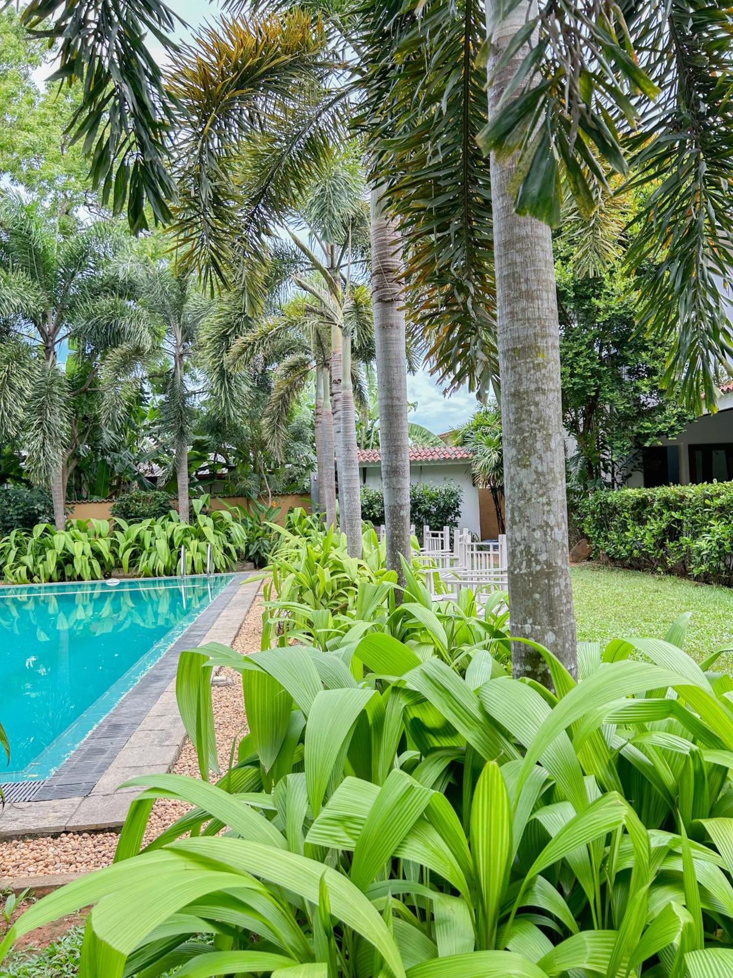 Wild Heaven Hotel Tissamaharama Exterior foto