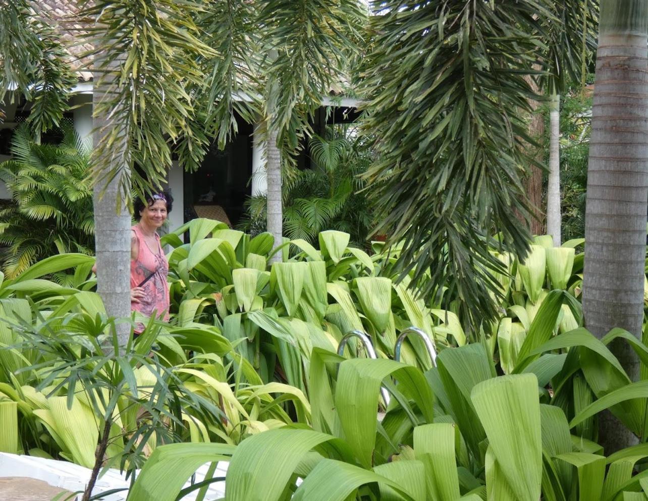 Wild Heaven Hotel Tissamaharama Exterior foto