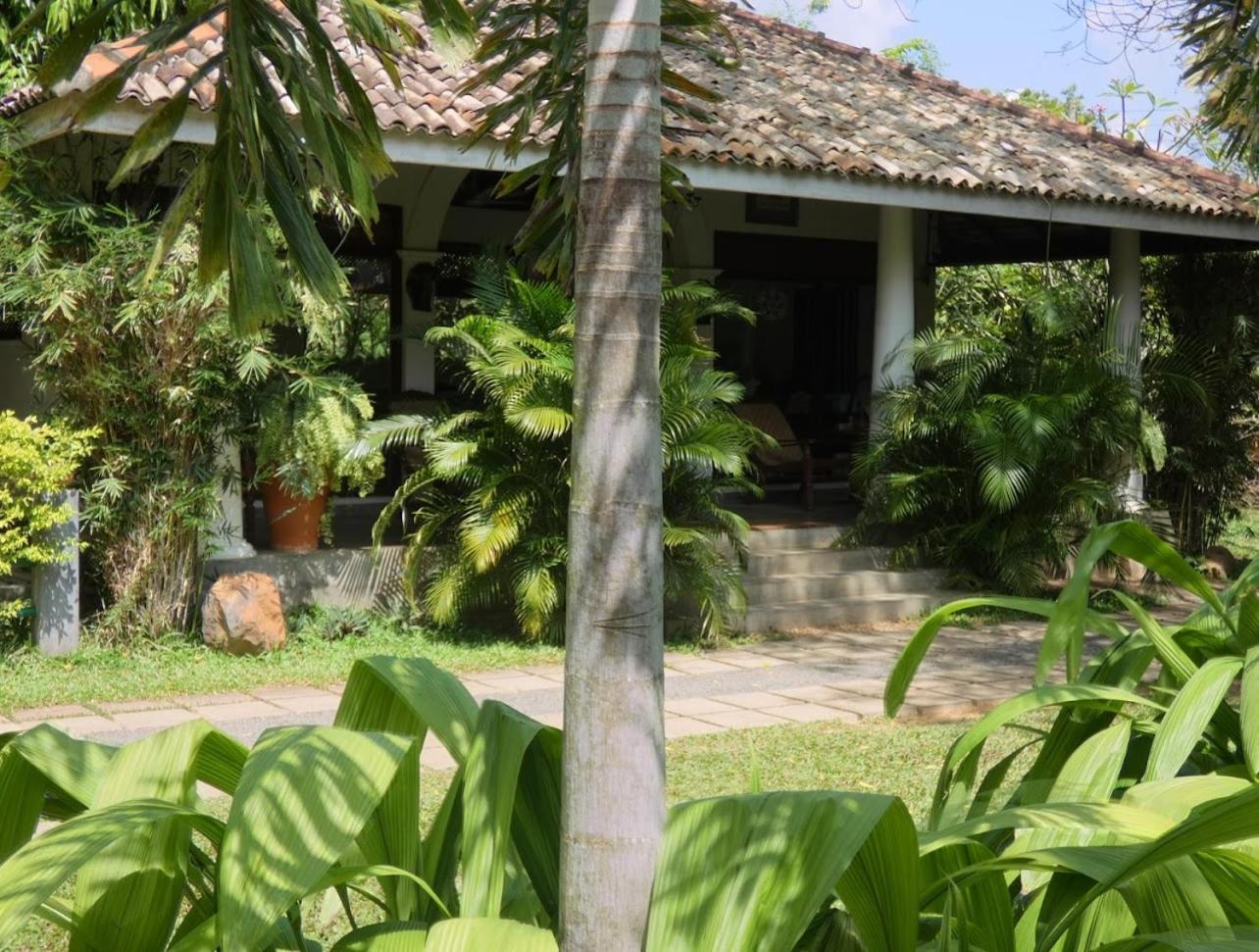 Wild Heaven Hotel Tissamaharama Exterior foto