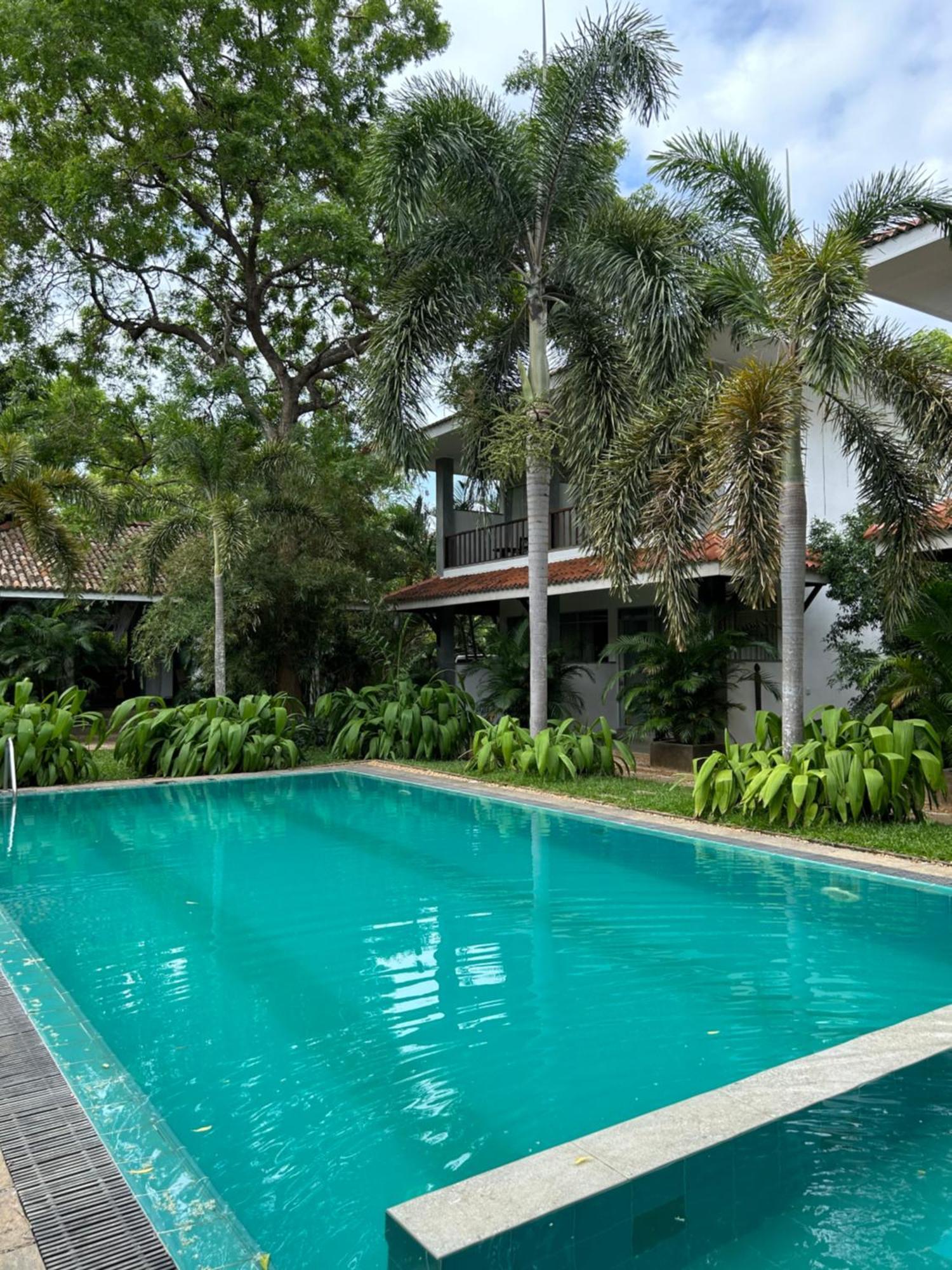 Wild Heaven Hotel Tissamaharama Exterior foto
