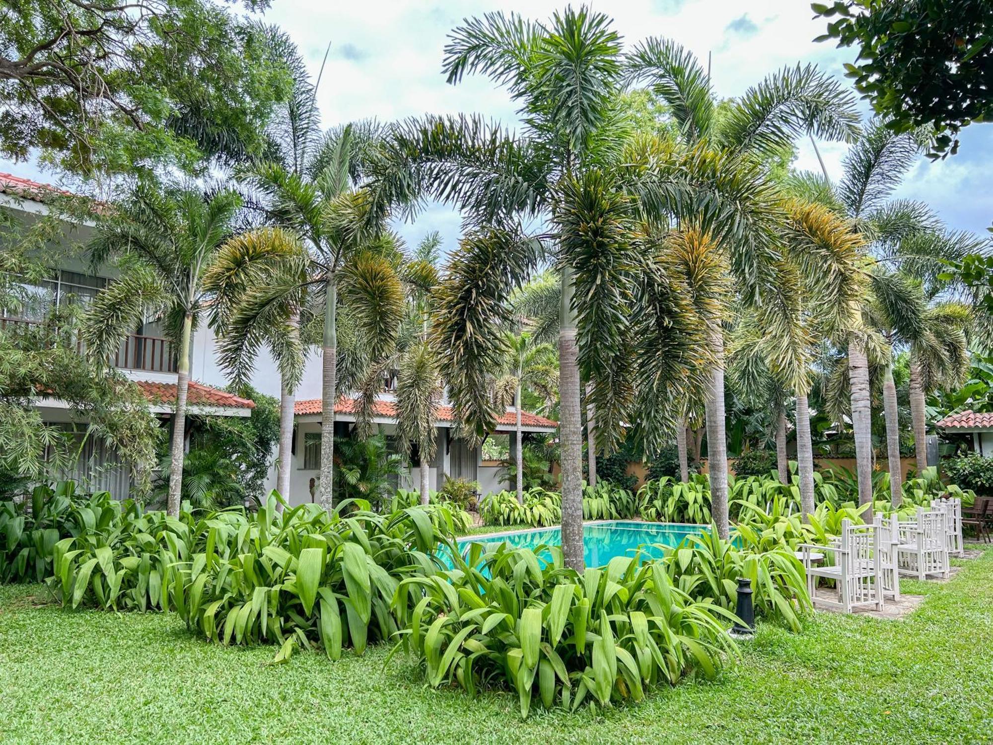 Wild Heaven Hotel Tissamaharama Exterior foto