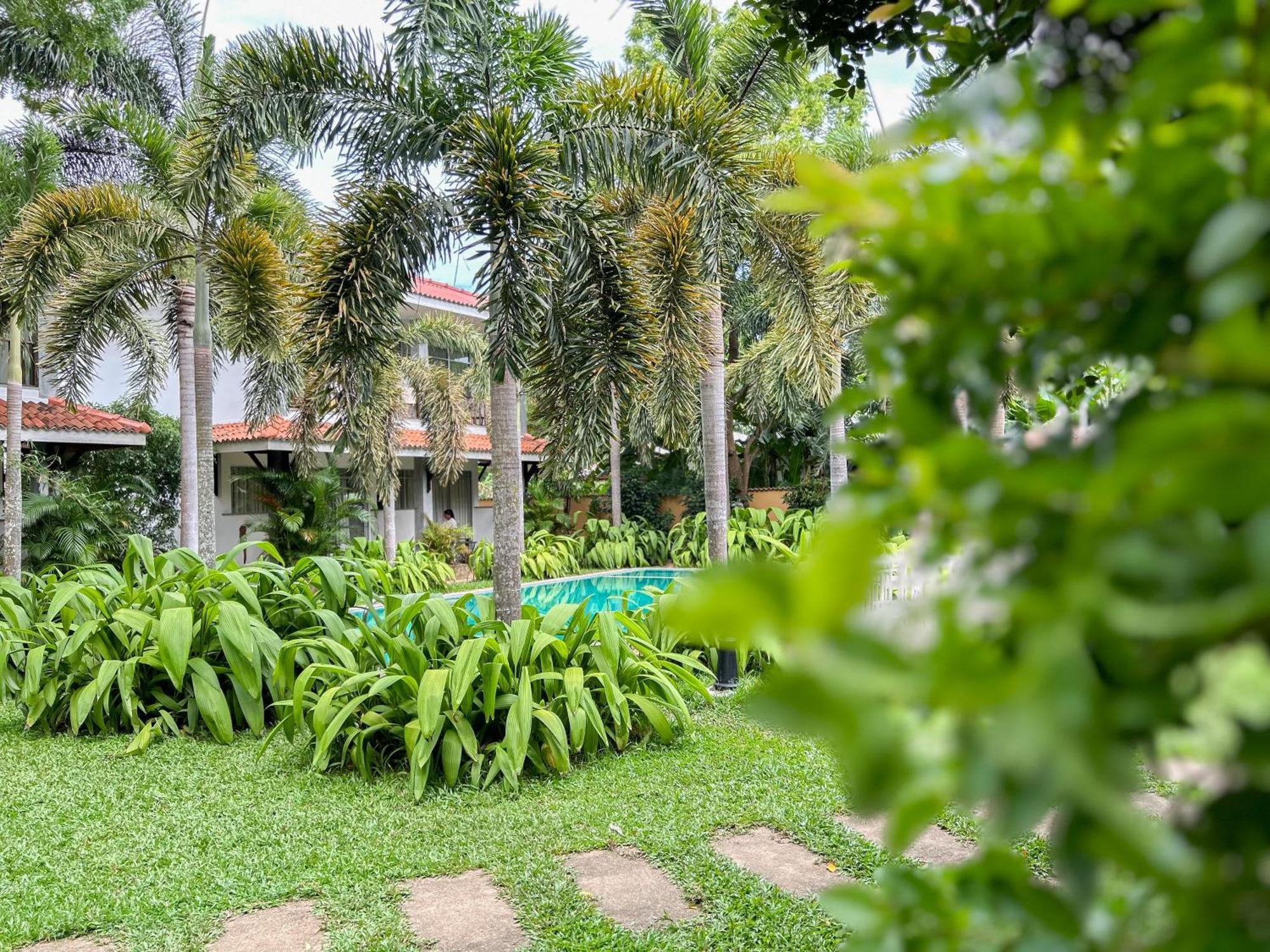 Wild Heaven Hotel Tissamaharama Exterior foto
