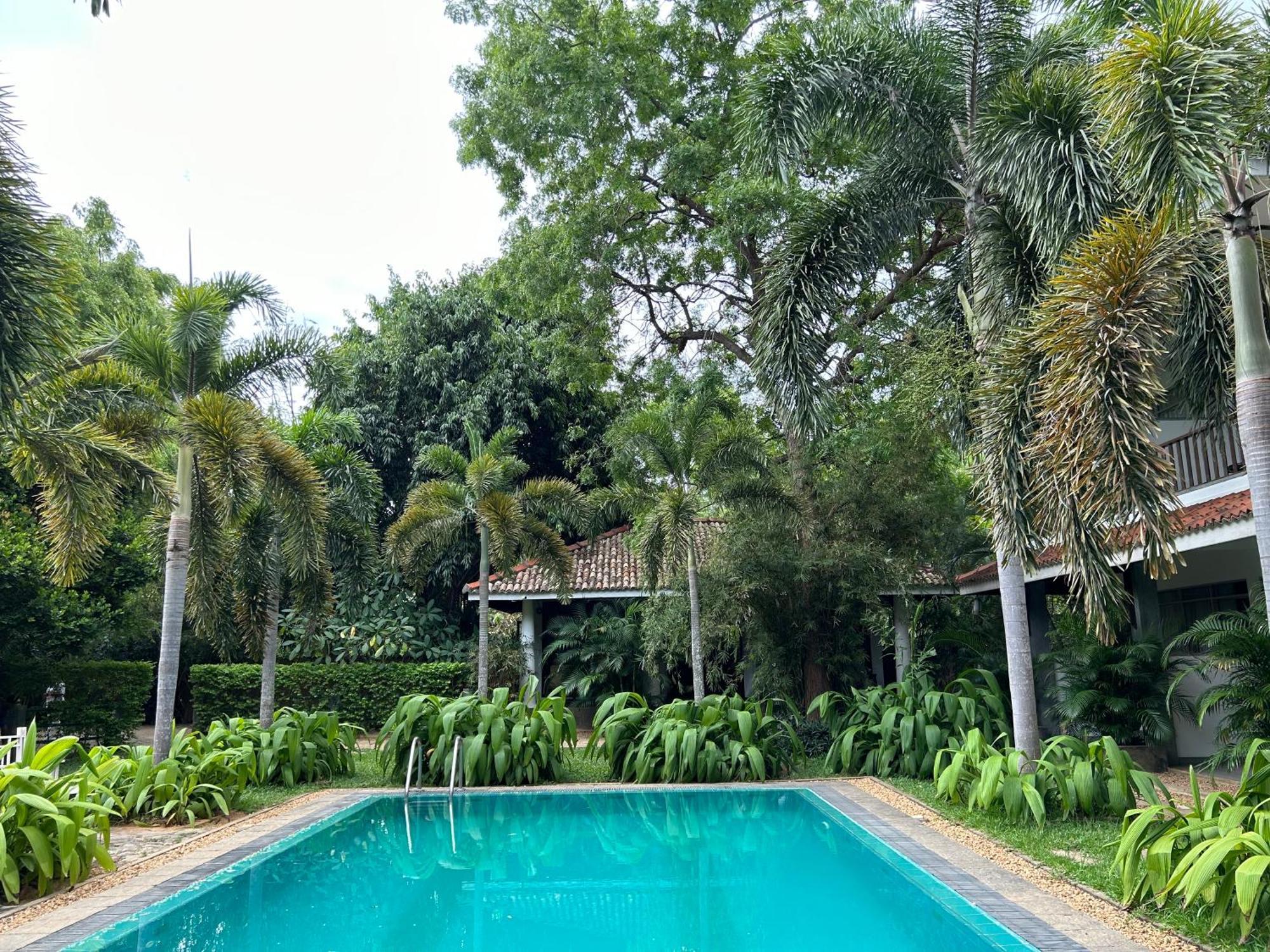 Wild Heaven Hotel Tissamaharama Exterior foto